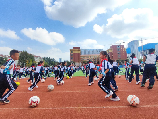 学校体卫艺, 如今 学校体卫艺, 如今